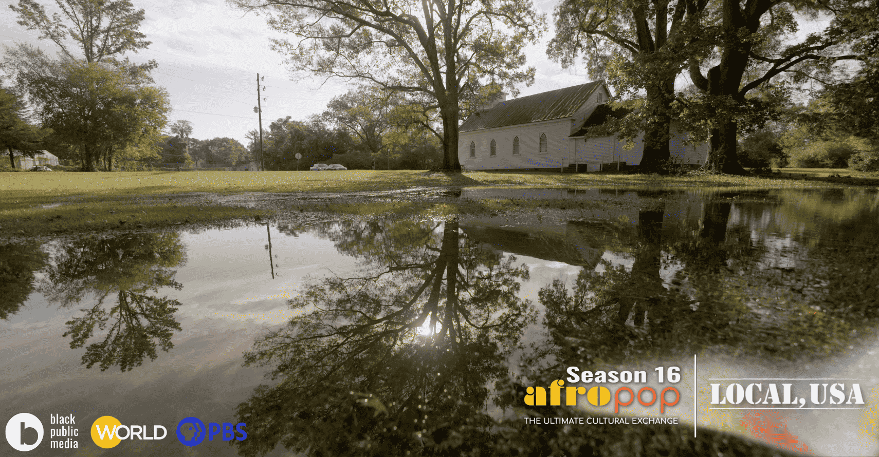 Freedom Hill - AfroPoP Season 16 | Now Streaming